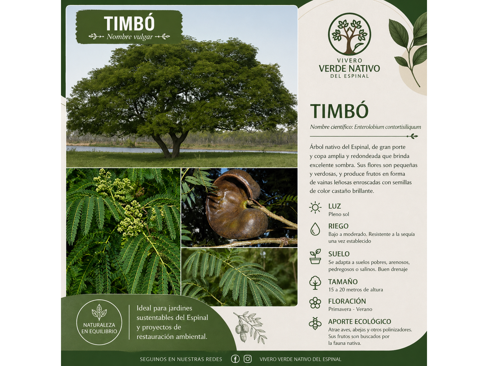 Timbó