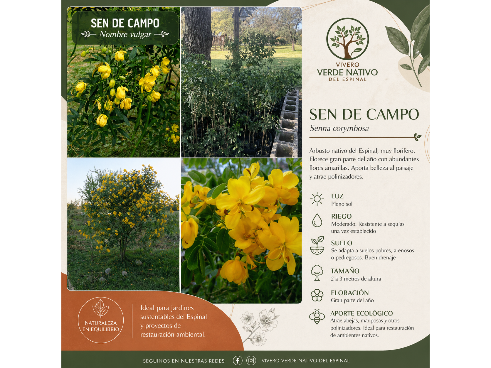 Sen de Campo