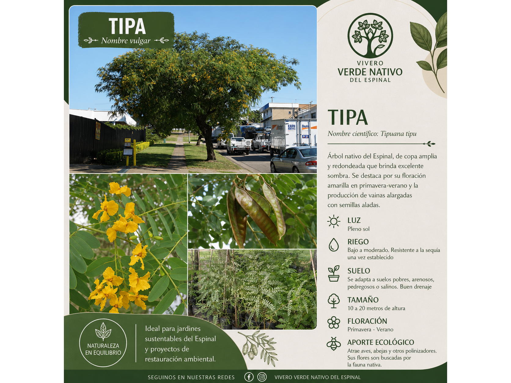 Tipa