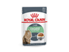 Royal Canin Pouch Digestive 85Gr