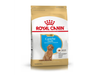 Royal Canin Caniche Junior 3Kg