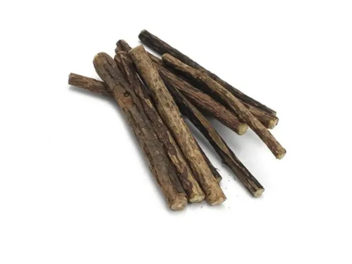 Matatabi Catnip x1