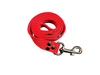 Correa 25mm 1.10 Mts - Talle 3