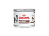 Royal Canin Lata Recovery 195Gr