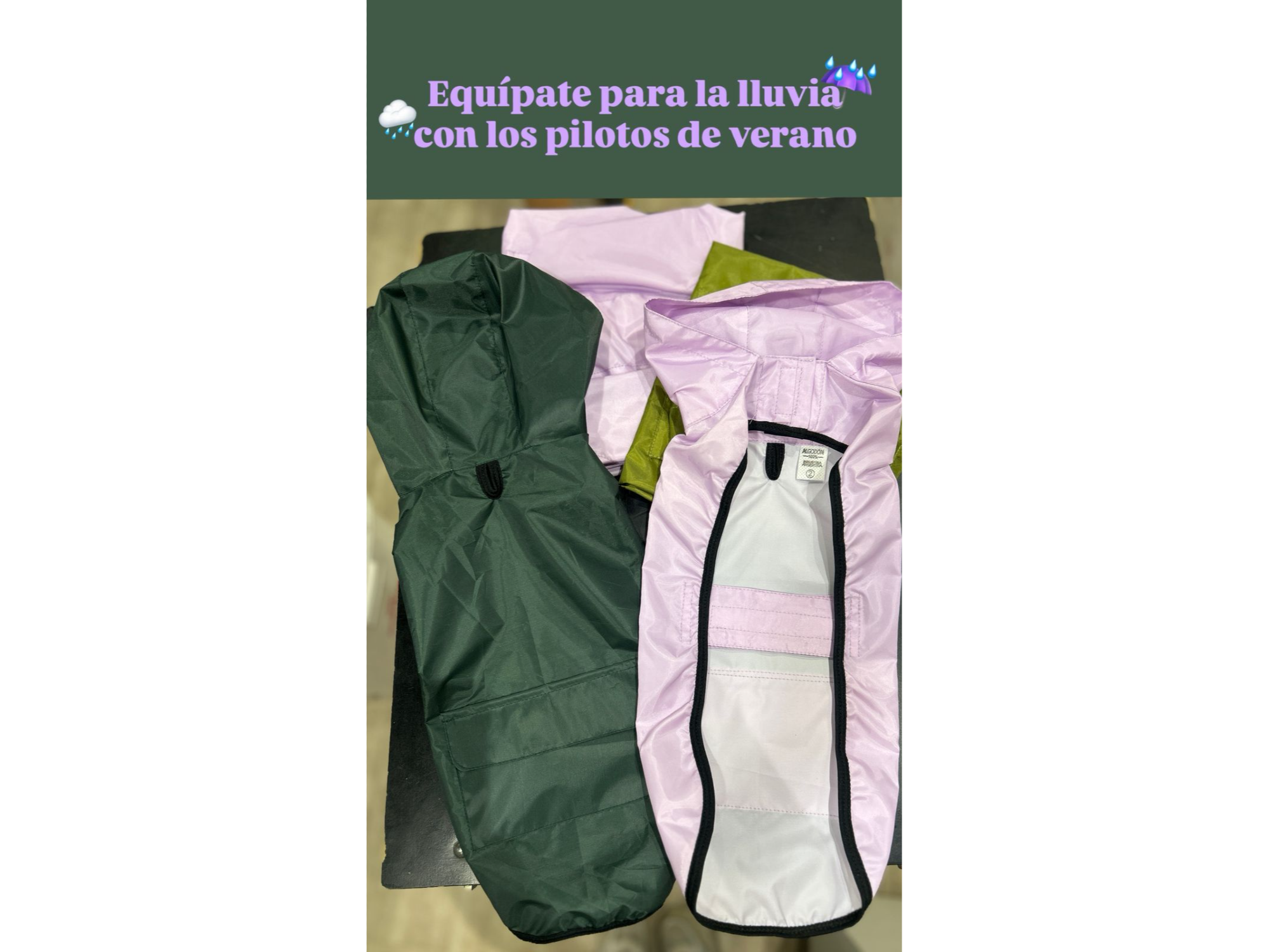 Pilotos Lluvia