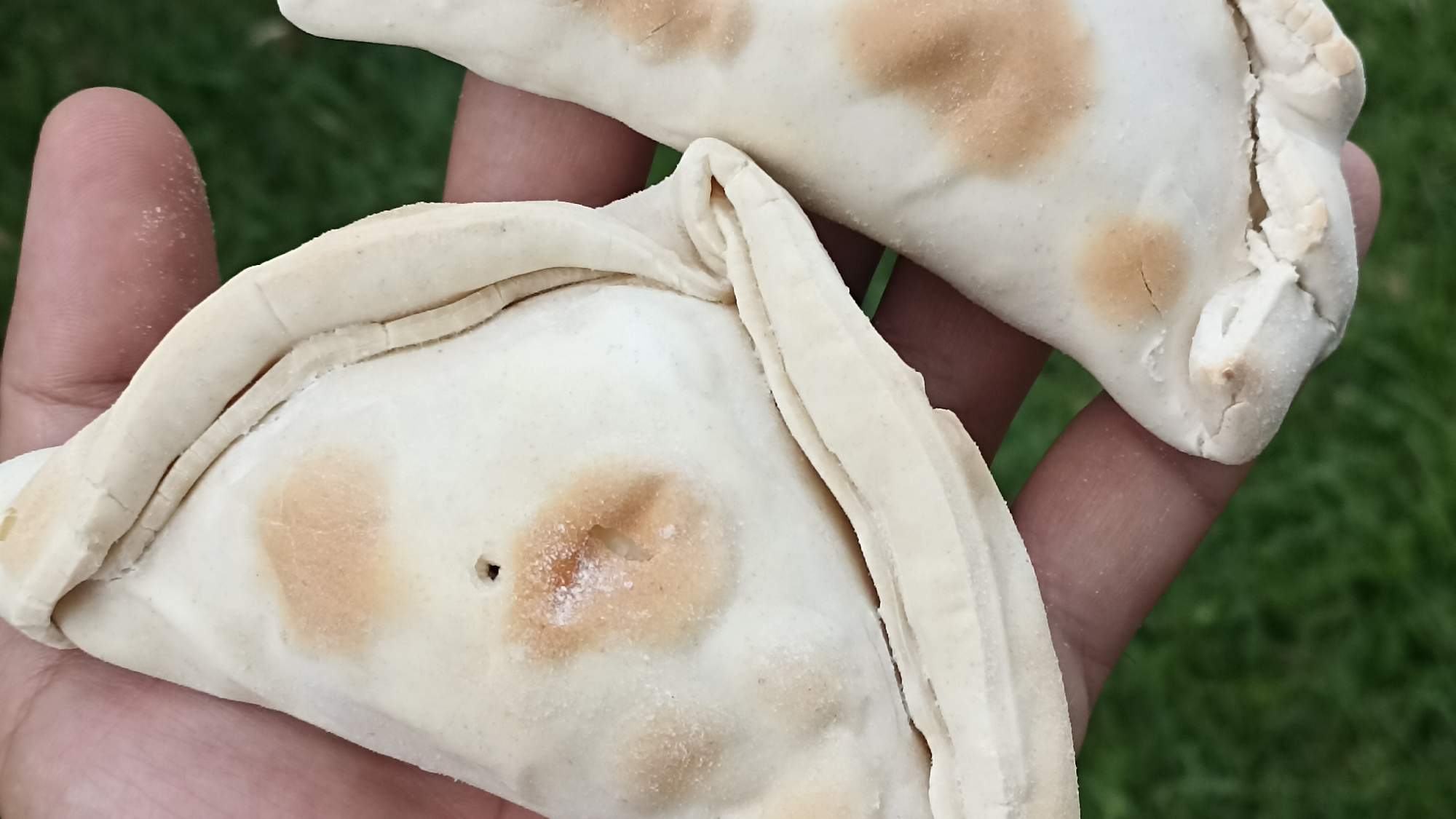 CONGELADOS