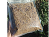 Pino de soya congelado