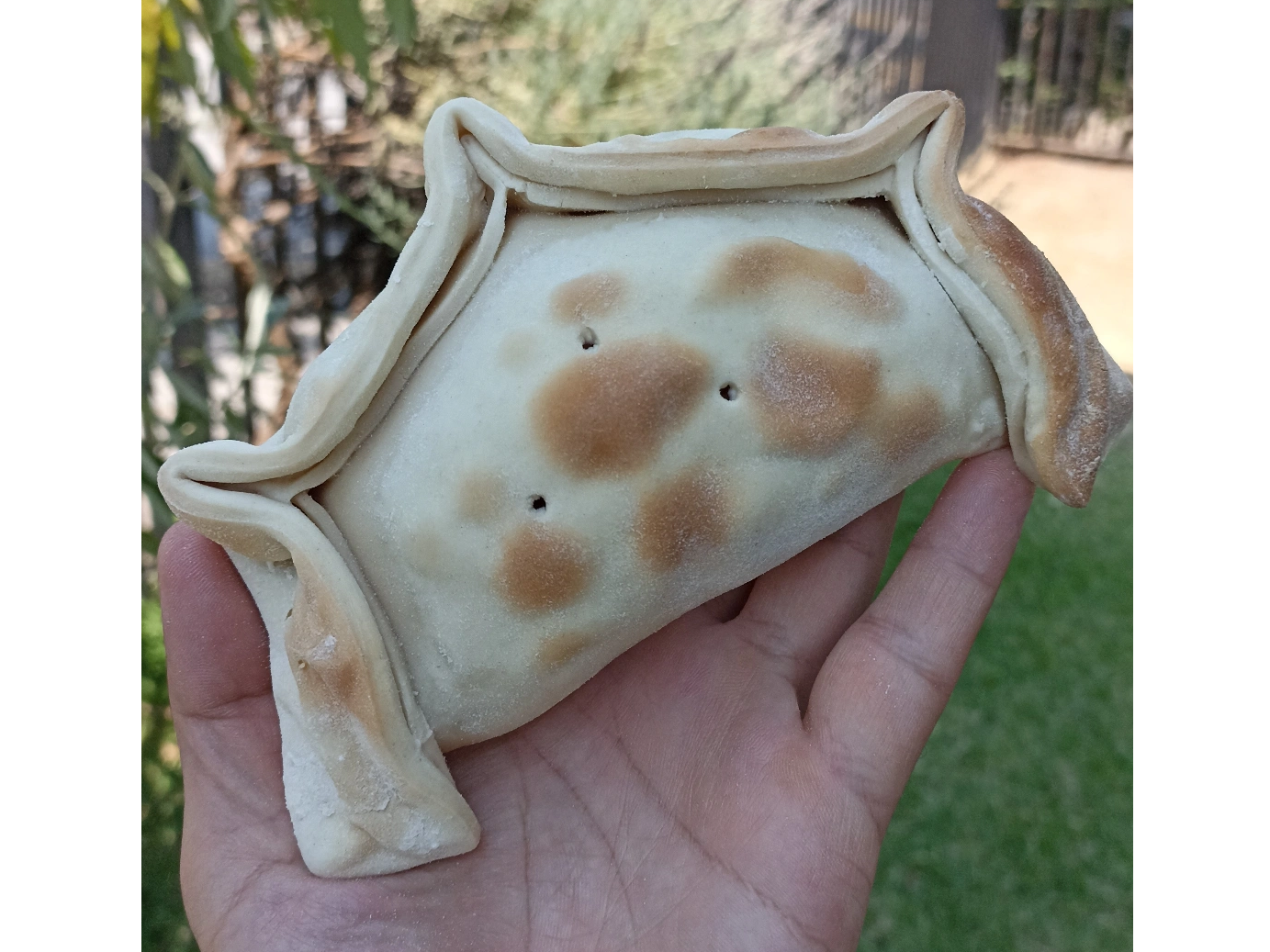 Empanada queso choclo champiñon