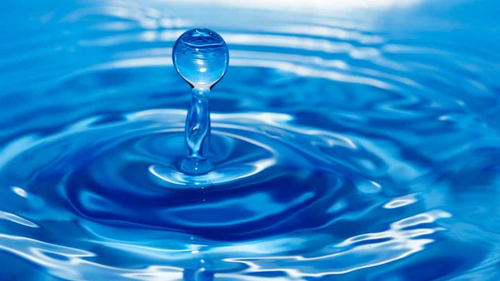 VEGETALES LAVADOS- LISTOS PARA USAR