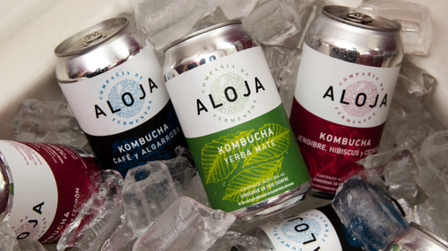KOMBUCHA ALOJA