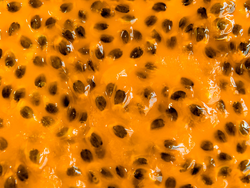 Maracuyá con semilla 1kg