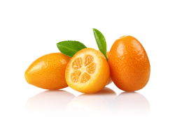 Quinoto