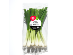 CEBOLLA DE VERDEO X 300GR