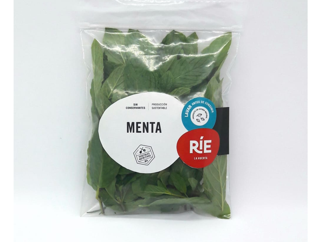 MENTA