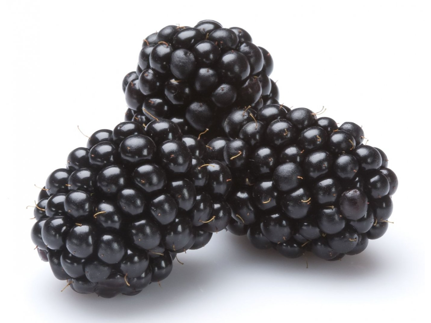 Moras