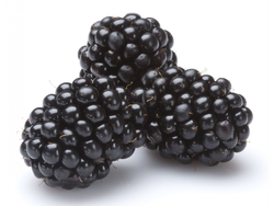Moras