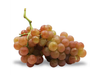 Uva moscatel