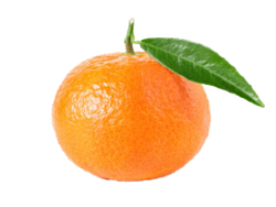 Mandarina (Nova)