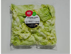 LECHUGA CAPUCHINA