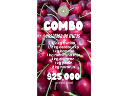 COMBO ENSALADA DE FRUTA