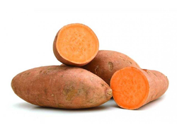 Boniato