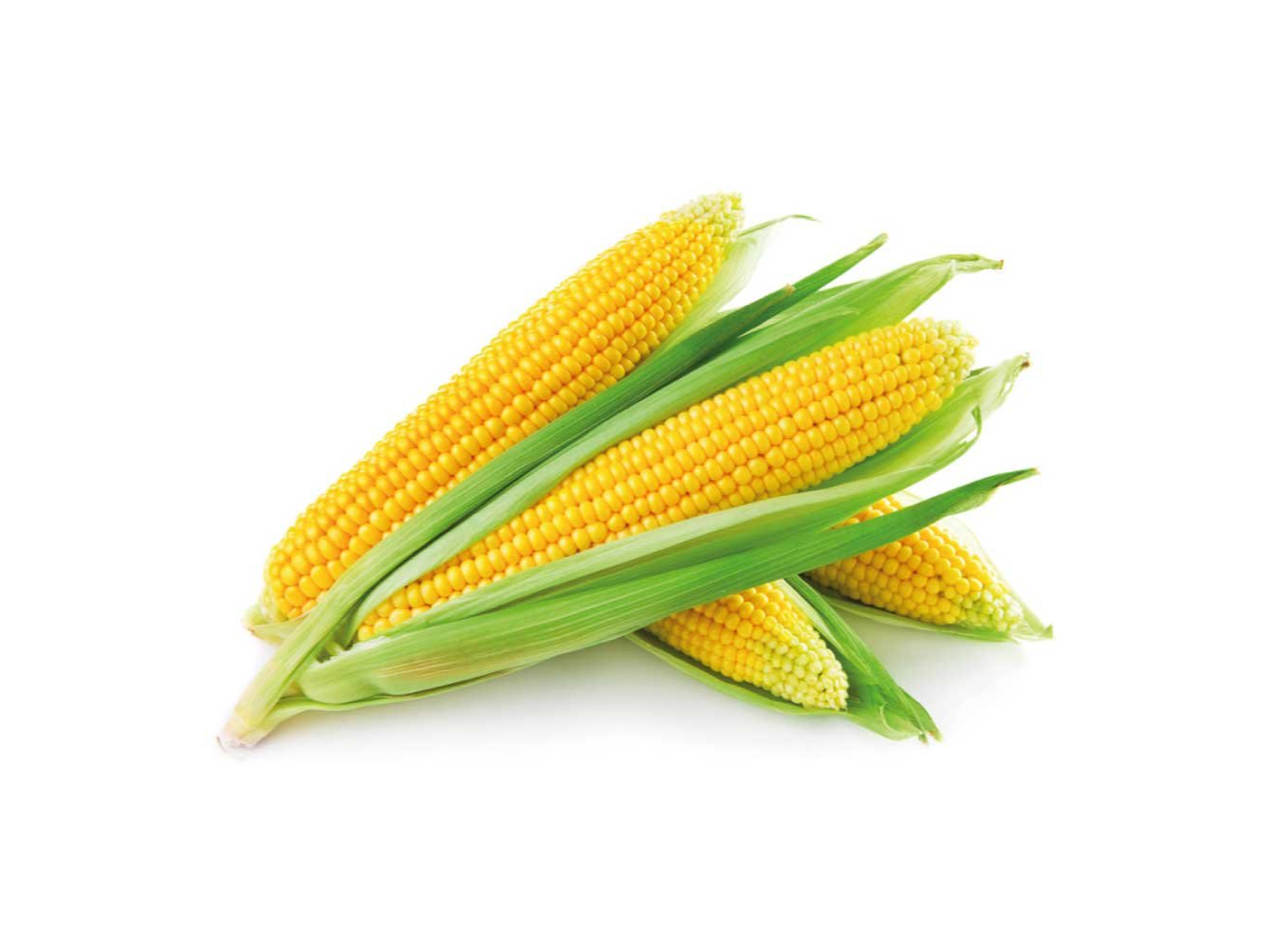 Choclo (invernáculo)