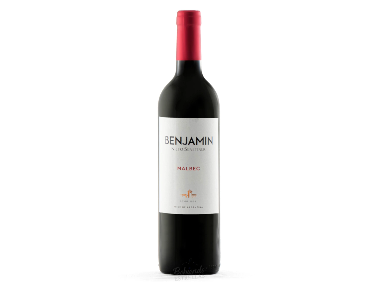 VINO BENJAMIN MALBEC