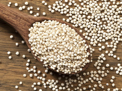SEMILLA DE QUINOA