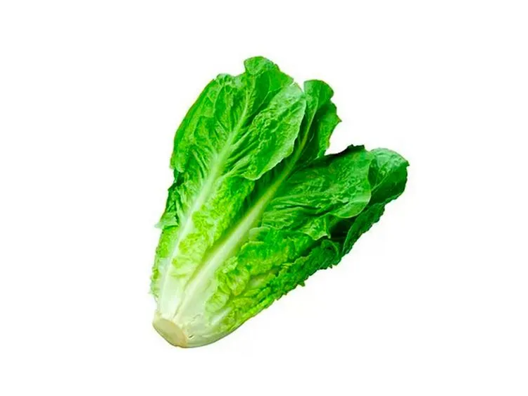LECHUGA CRIOLLA
