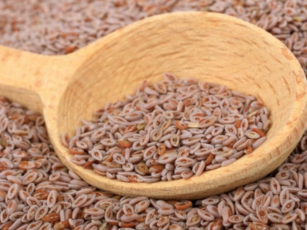 SEMILLA DE PSYLLIUM