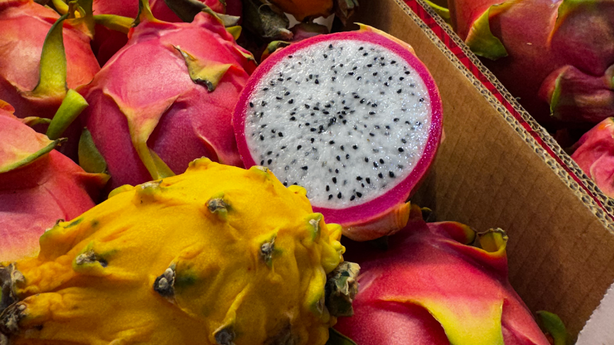 frutas exóticas 🌺🐉