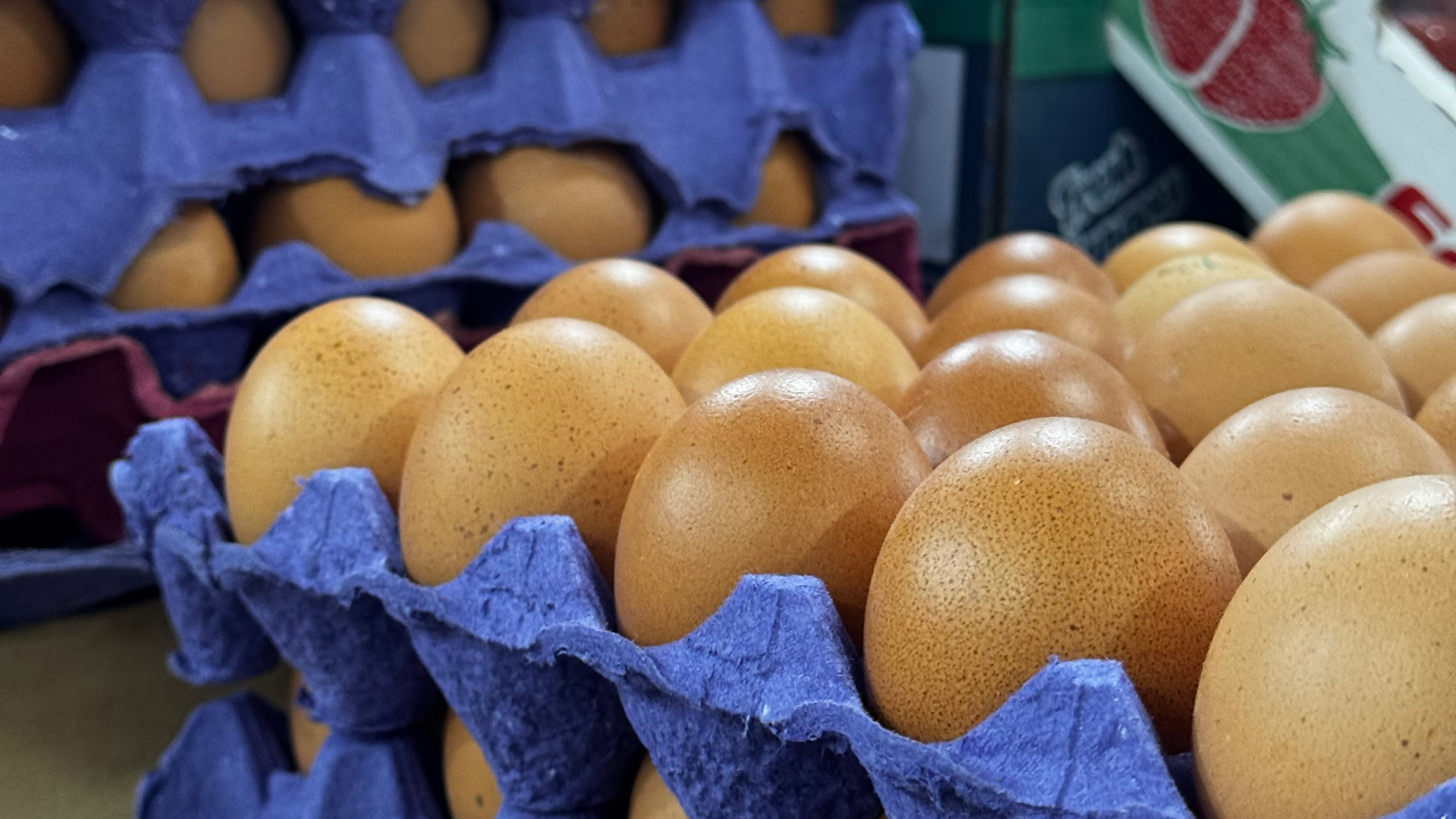 huevos🥚