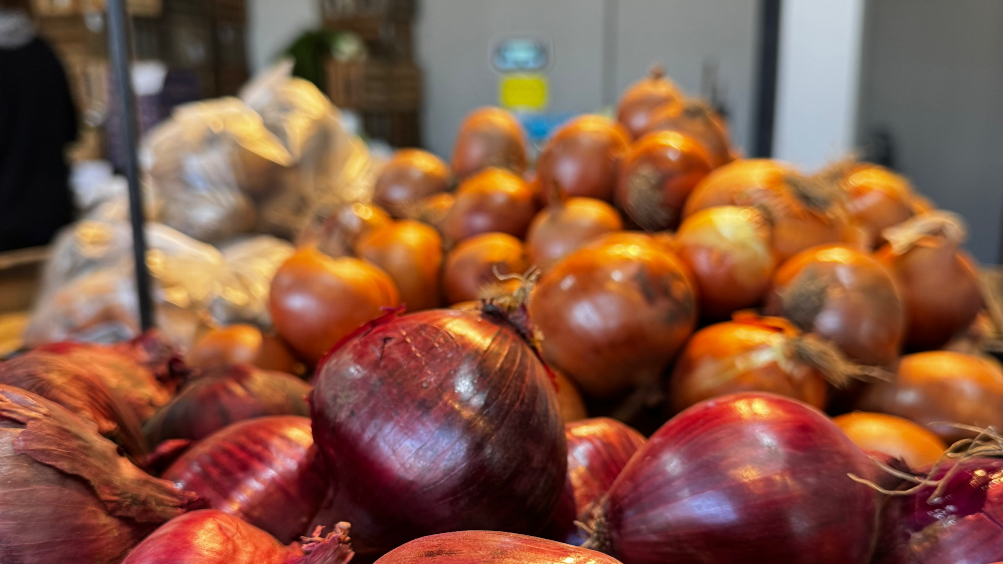 verduras🍆🌽