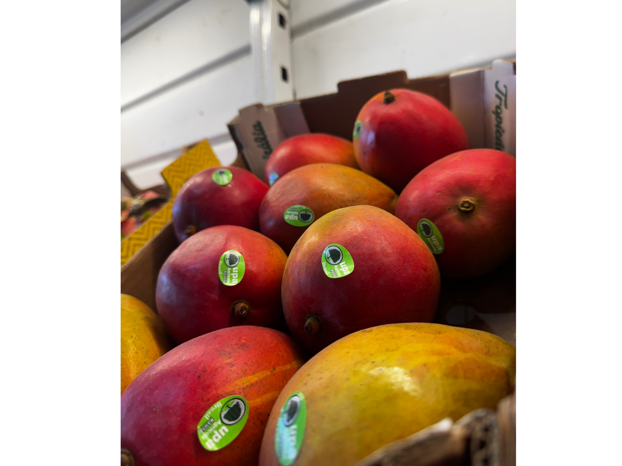 mango