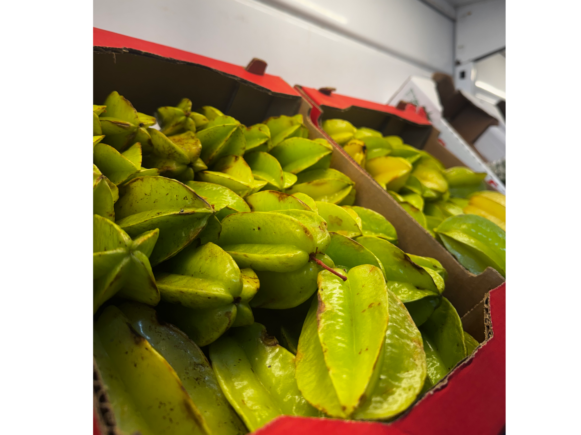carambola