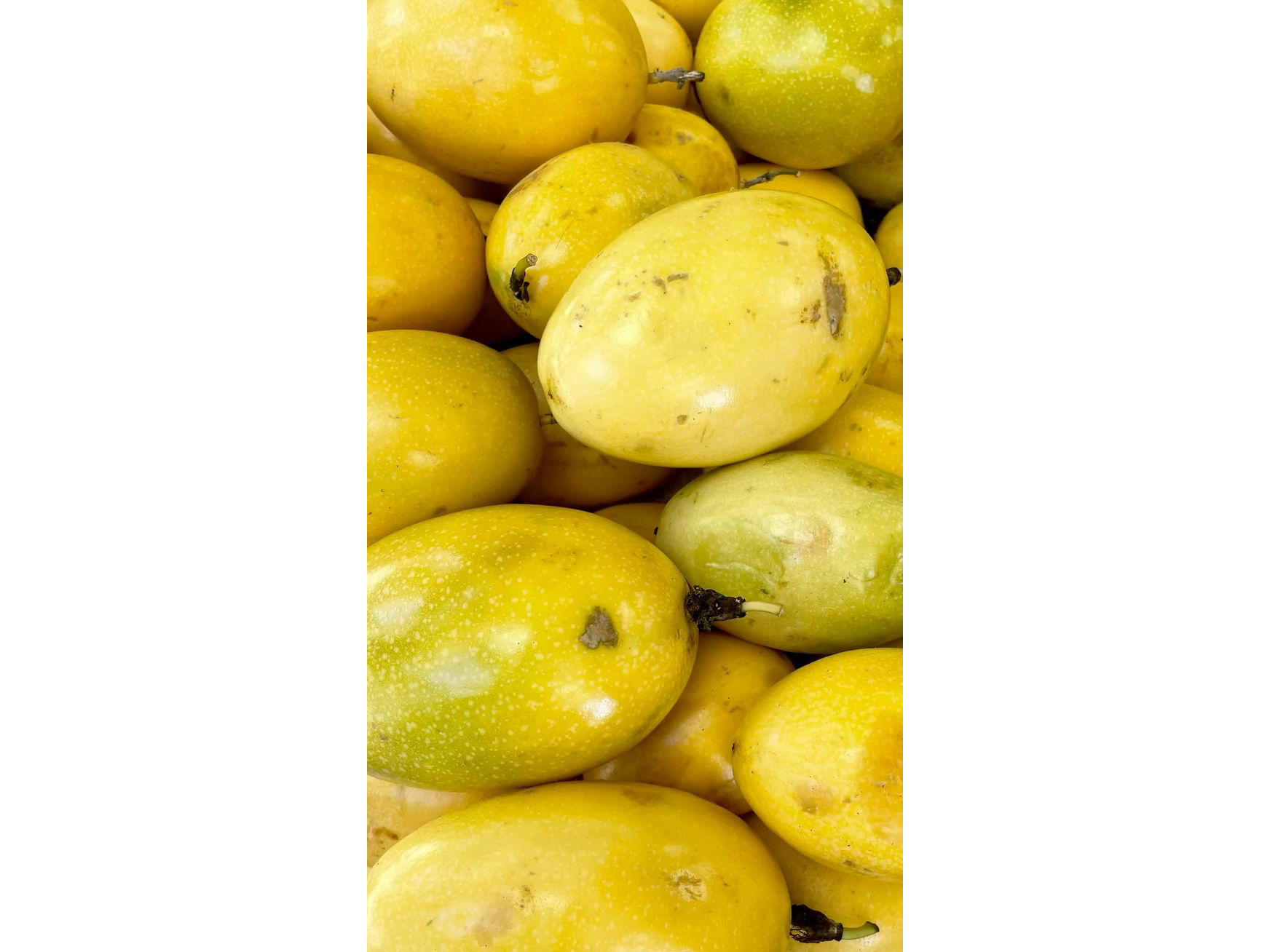 maracuya importado