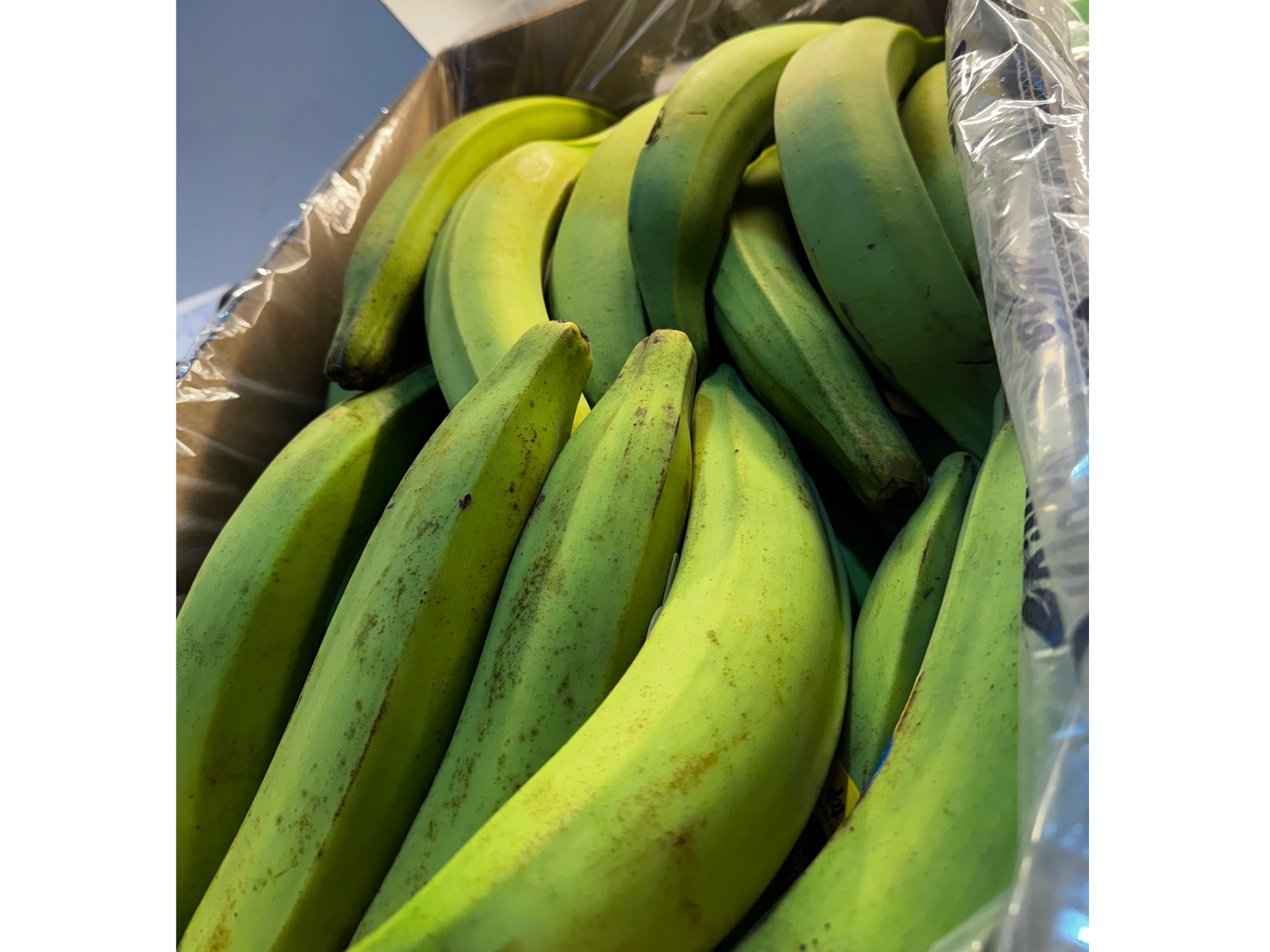 platano
