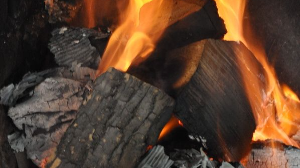 Carbón y leña