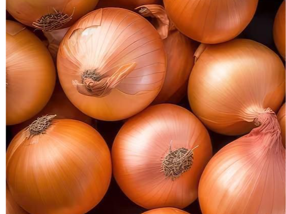 Cebolla sintética