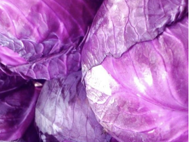 Repollo morado