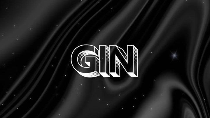 Gin