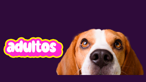 ADULTOS