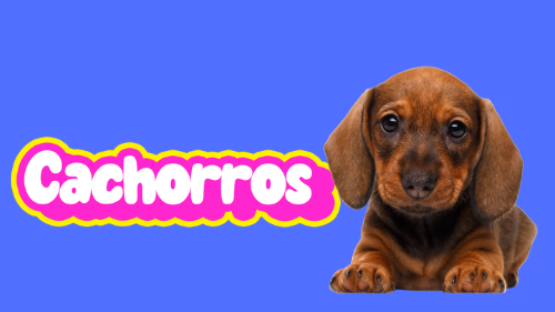 CAHORRO