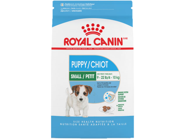 CACHORRO RAZA PEQUÑE