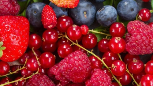 • Frutas • Pulpas •