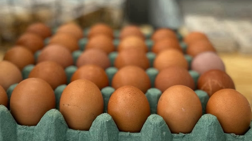 HUEVOS PASTORILES