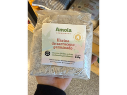 Harina de sarraceno germinado