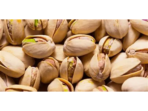 Barra pistacho con 15g de proteína