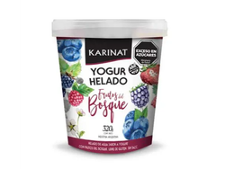 Yogurt helado karinat frutos del bosque 320g