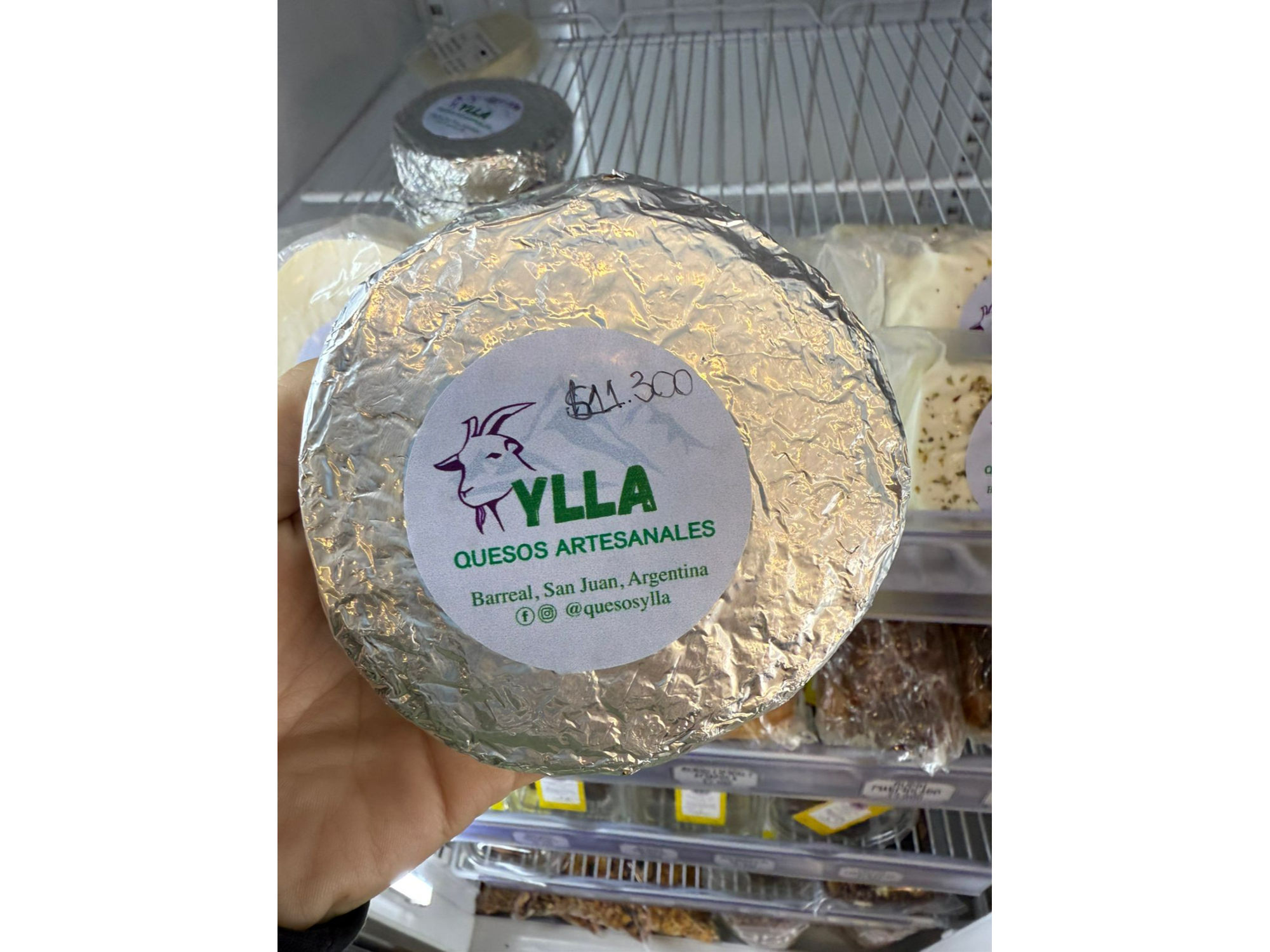 Queso camembert